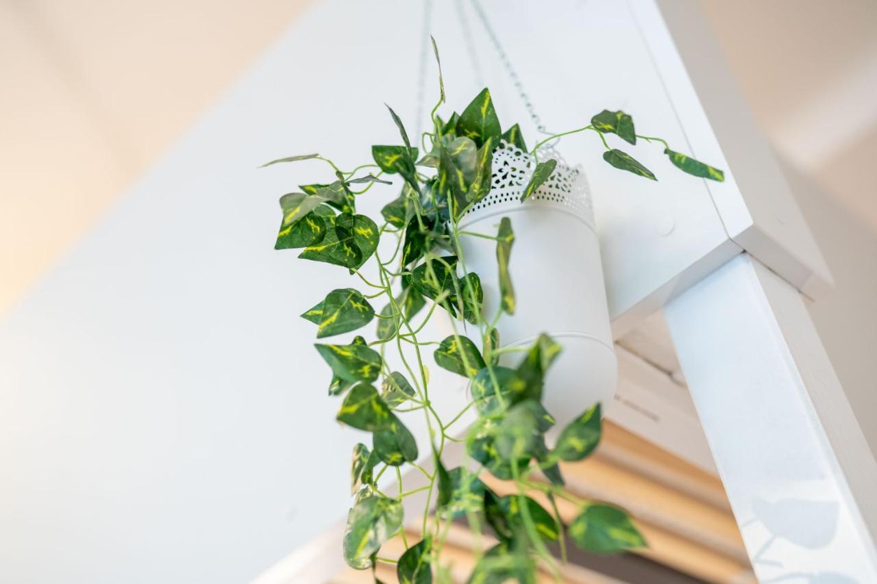 Cozy Modern Nest In The Heart Of Vienna With Netflix Διαμέρισμα Εξωτερικό φωτογραφία